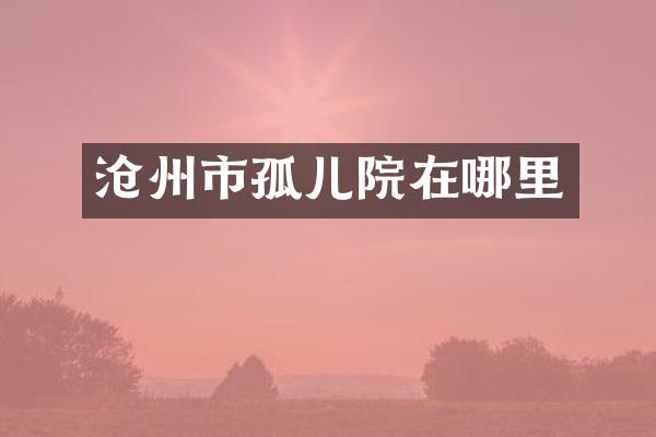 沧州市孤儿院在哪里