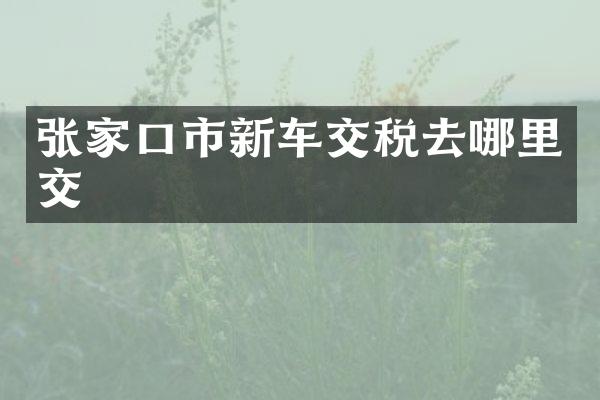 张家口市新车交税去哪里交