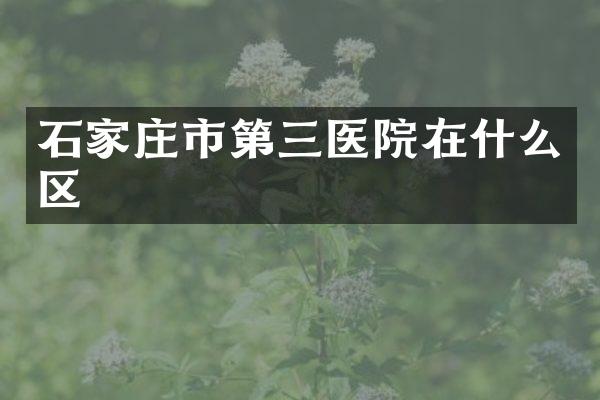 石家庄市第三医院在什么区