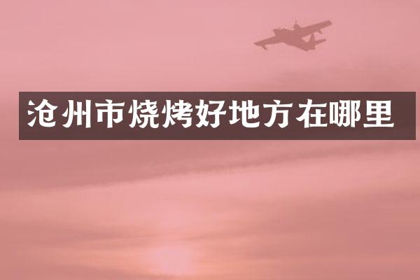 沧州市烧烤好地方在哪里