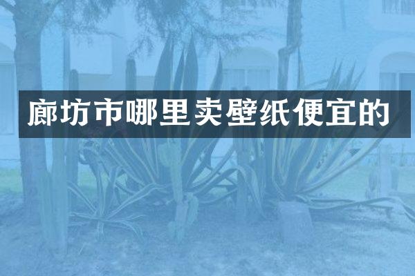廊坊市哪里卖壁纸便宜的