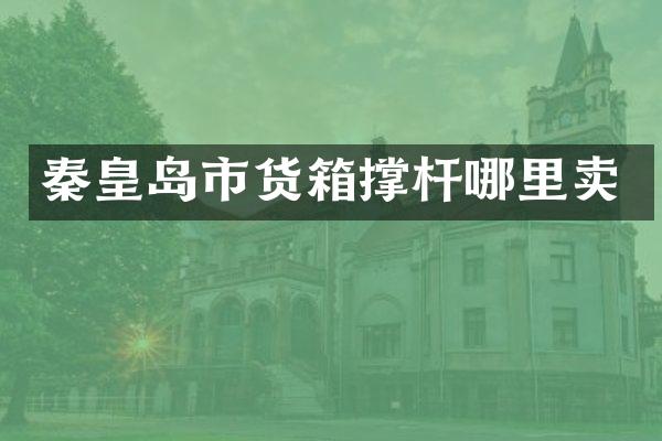 秦皇岛市货箱撑杆哪里卖