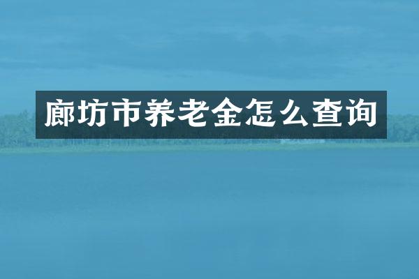 廊坊市养老金怎么查询