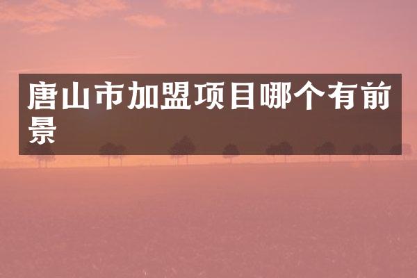 唐山市加盟项目哪个有前景