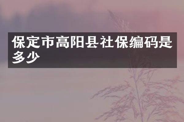 保定市高阳县社保编码是多少
