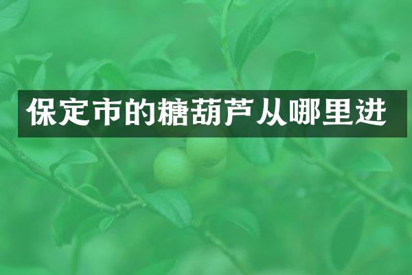 保定市的糖葫芦从哪里进
