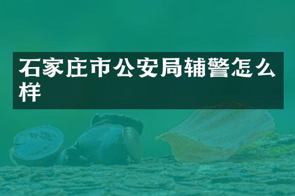 石家庄市公安局辅警怎么样