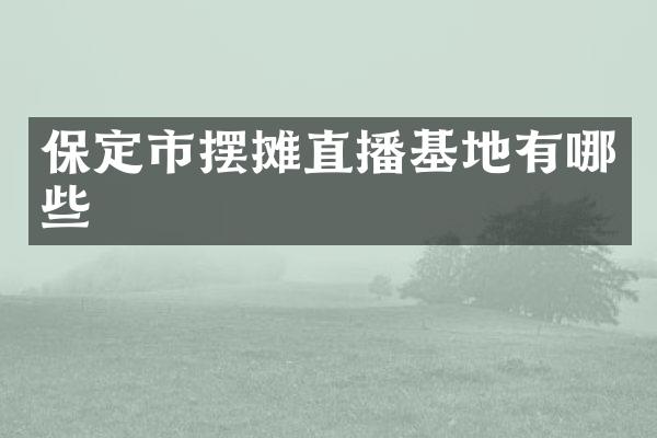 保定市摆摊直播基地有哪些