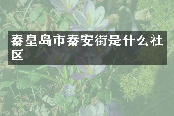 秦皇岛市秦安街是什么社区