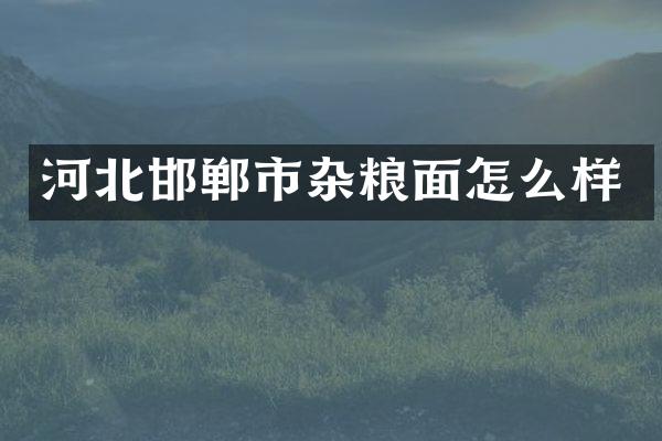 河北邯郸市杂粮面怎么样