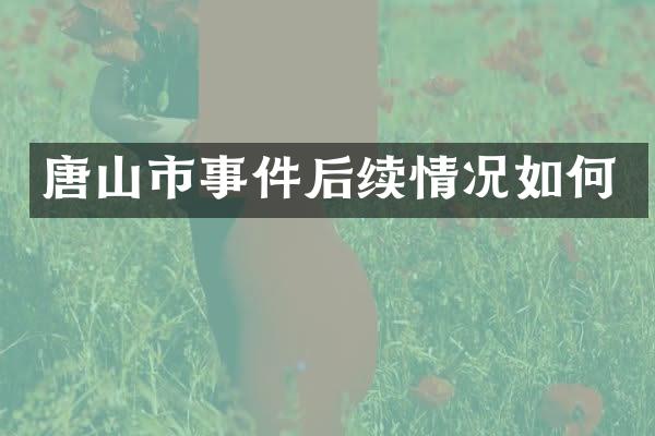 唐山市事件后续情况如何
