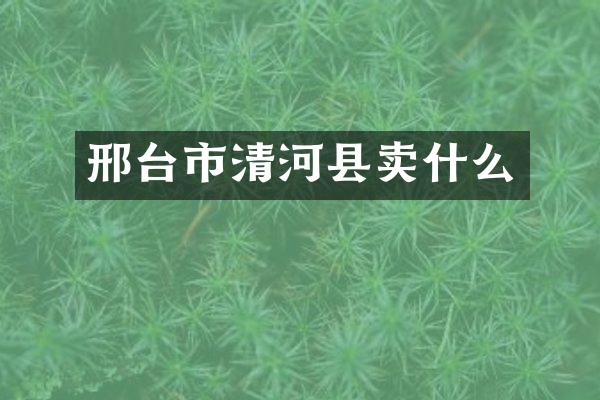 邢台市清河县卖什么