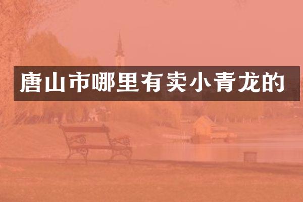 唐山市哪里有卖小青龙的