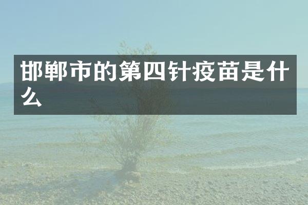 邯郸市的第四针疫苗是什么