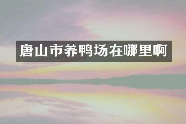 唐山市养鸭场在哪里啊