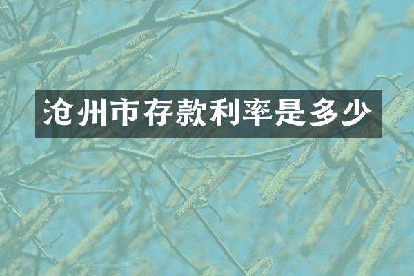 沧州市存款利率是多少