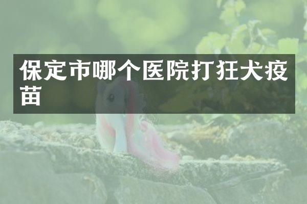保定市哪个医院打狂犬疫苗