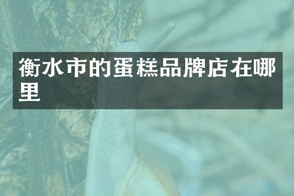 衡水市的蛋糕品牌店在哪里