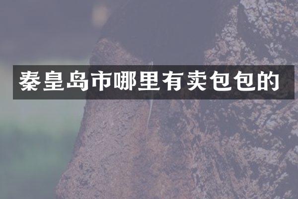 秦皇岛市哪里有卖包包的