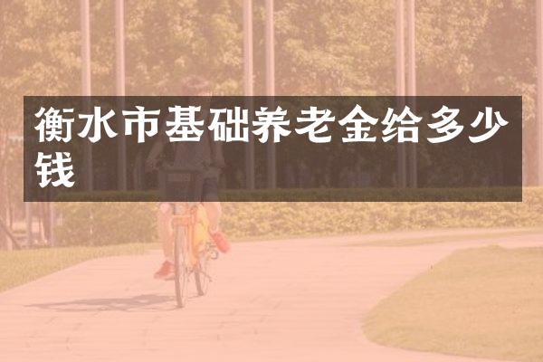 衡水市基础养老金给多少钱