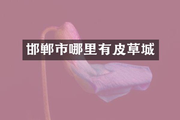 邯郸市哪里有皮草城