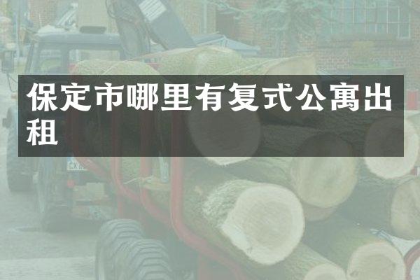 保定市哪里有复式公寓出租