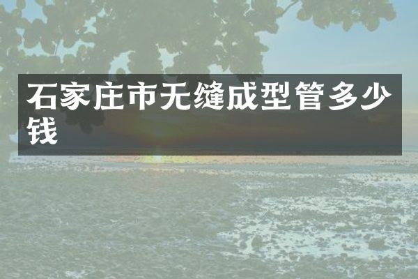 石家庄市无缝成型管多少钱
