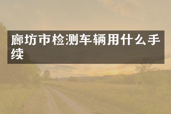 廊坊市检测车辆用什么手续
