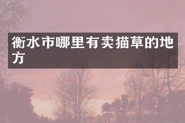 衡水市哪里有卖猫草的地方