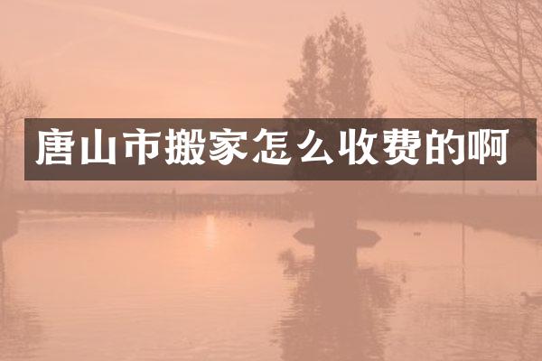 唐山市搬家怎么收费的啊