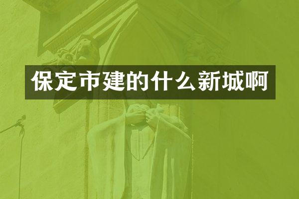 保定市建的什么新城啊