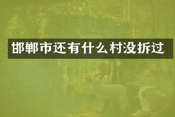 邯郸市还有什么村没拆过