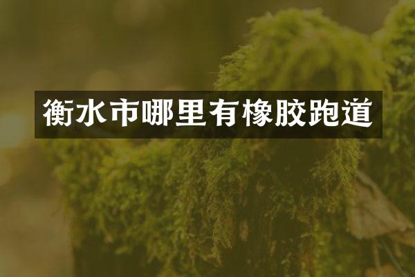 衡水市哪里有橡胶跑道