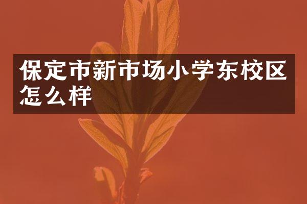 保定市新市场小学东校区怎么样