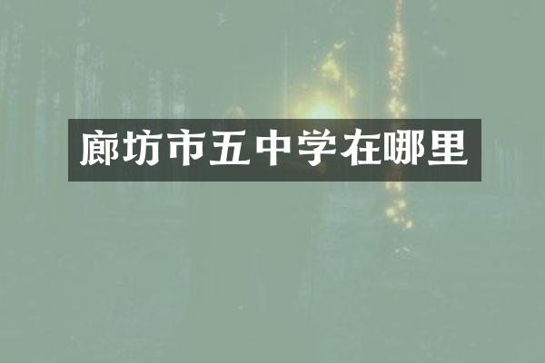 廊坊市五中学在哪里