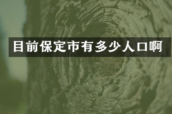 目前保定市有多少人口啊