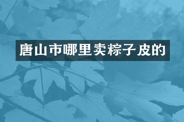 唐山市哪里卖粽子皮的