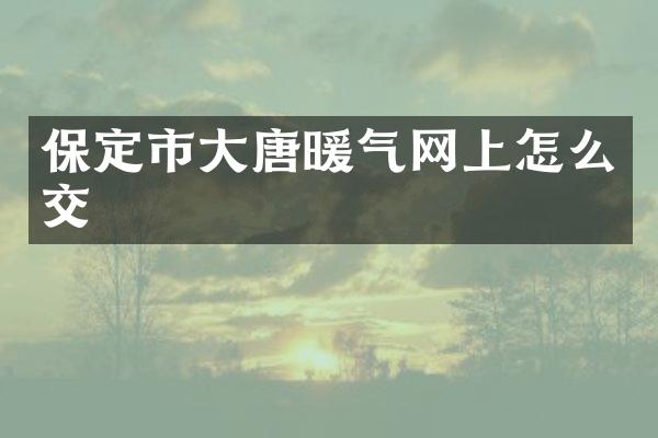 保定市大唐暖气网上怎么交