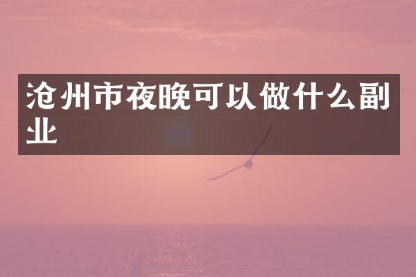 沧州市夜晚可以做什么副业