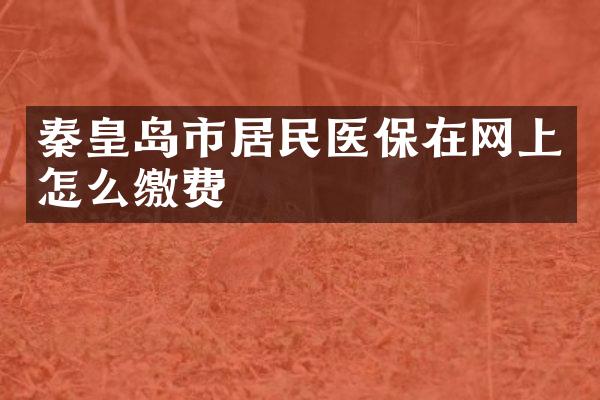 秦皇岛市居民医保在网上怎么缴费