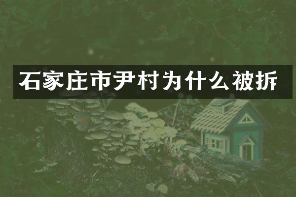 石家庄市尹村为什么被拆