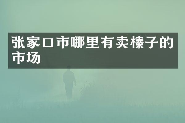 张家口市哪里有卖榛子的市场