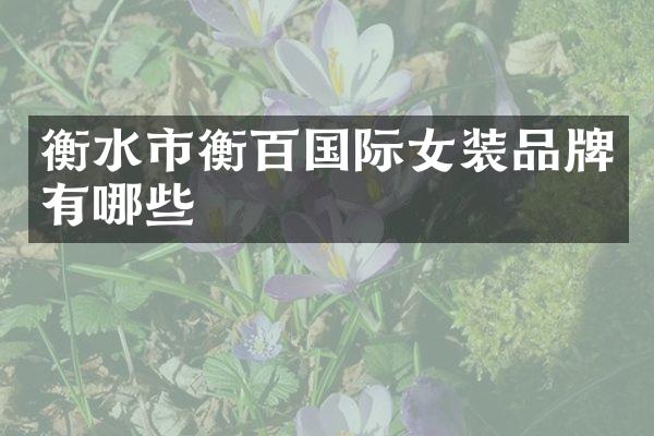 衡水市衡百国际女装品牌有哪些