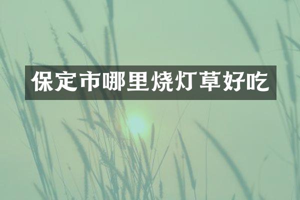 保定市哪里烧灯草好吃