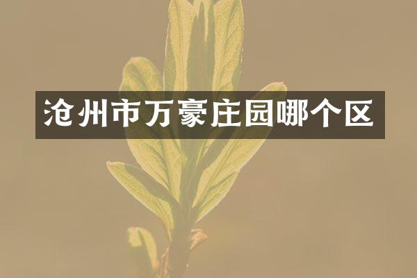 沧州市万豪庄园哪个区
