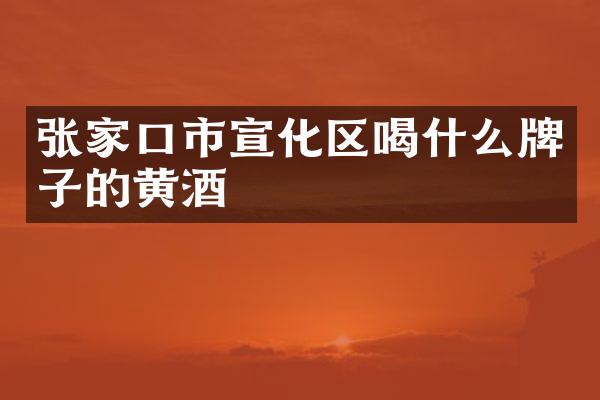 张家口市宣化区喝什么牌子的黄酒