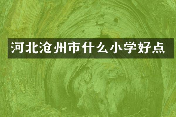 河北沧州市什么小学好点