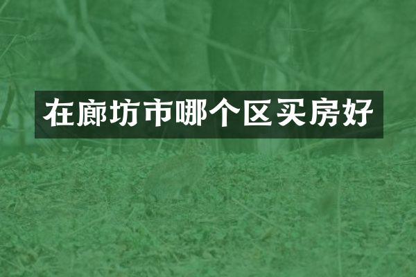 在廊坊市哪个区买房好