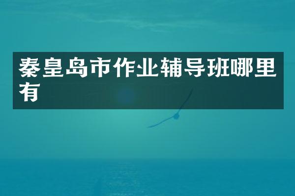 秦皇岛市作业辅导班哪里有
