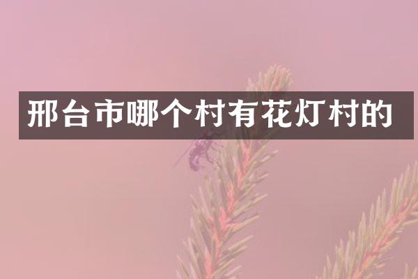 邢台市哪个村有花灯村的